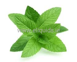 Peppermint